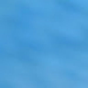 Meet your Posher, Niki